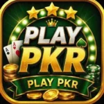 PLAYPKR Game